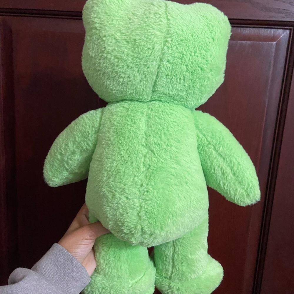 Build a bear frog - Picture 3 of 5